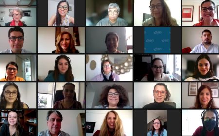 Con un webinar sobre las formas de medición desagregadas por sexo, finaliza la capacitación en enfoque de género de los grupos técnicos y comités de la Alianza del Pacífico