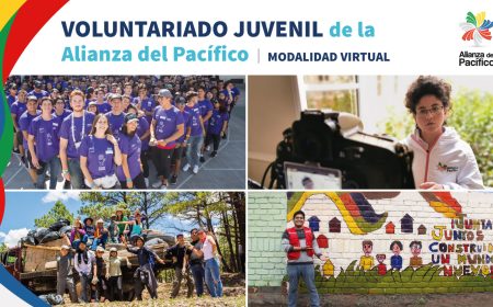 RESULTADOS PROCESO DE SELECCIÓN DEL PROGRAMA DE VOLUNTARIADO JUVENIL DE LA ALIANZA DEL PACIFICO | MODALIDAD VIRTUAL 2021
