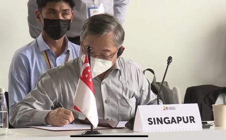 Llega un asociado de lujo: Singapur