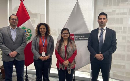 Coordinación del Subgrupo MRV de la Alianza del Pacífico se reúne con la viceministra del Medio Ambiente de Perú y realiza intercambio técnico entre expertos de Chile y Perú sobre instrumentos de precio al carbono