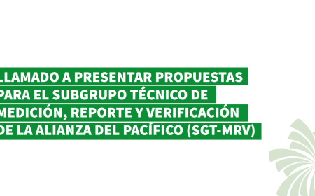 Llamado a consultores/consultoras a enviar propuestas para desarrollar un estudio sobre ‘Devaluación y competitividad en el mercado de carbono’ para el Subgrupo Técnico de Medición, Reporte y Verificación de la Alianza del Pacífico