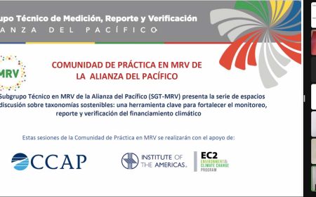 Technical Subgroup on Monitoring, Reporting and Verification of the Pacific Alliance held the first technical session on sustainable taxonomies