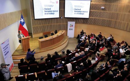 The International Seminar on psychosocial occupational risks: Towards mental well-being at work was successfully held