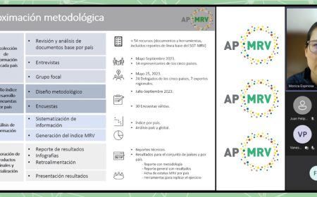 Realizan webinar para presentar y discutir los resultados del estudio sobre ‘Estatus de los MRV climáticos’