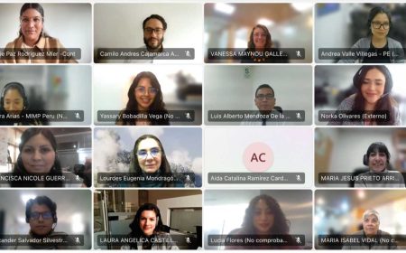 Subgrupo de Conducta Empresarial Responsable continúa ciclo de conversaciones con otras instancias de la Alianza del Pacífico