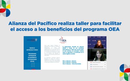 Alianza del Pacífico realiza taller para facilitar el acceso a los beneficios del programa OEA