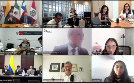Coordinadores Nacionales de la Alianza del Pacífico se reúnen virtualmente para analizar las prioridades que guiarán los trabajos del mecanismo durante el año