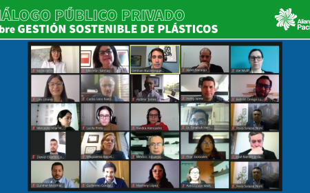Alianza del Pacífico realiza diálogo público-privado virtual sobre la gestión sostenible de los plásticos
