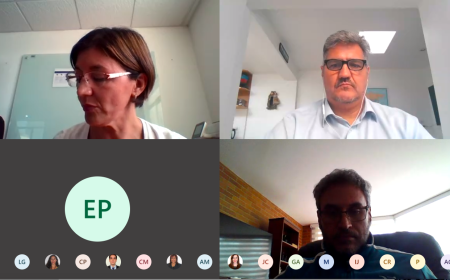 Coordinadores Nacionales de la Alianza del Pacífico se reúnen de manera virtual para dialogar sobre posibles líneas de acción del mecanismo en contexto del COVID-19