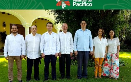 Viceministros de Relaciones Exteriores y Comercio afinan detalles del encuentro de Ministros y XIII Cumbre de Presidentes