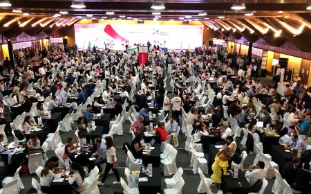 Exportadores chilenos concretan ventas inmediatas por US$ 1,5 millón