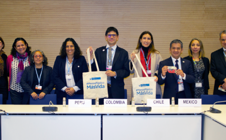Presidencia Pro Tempore presenta una propuesta de Declaración Conjunta sobre consumo responsable del plástico para ser implementada a nivel de países de la Alianza del Pacífico